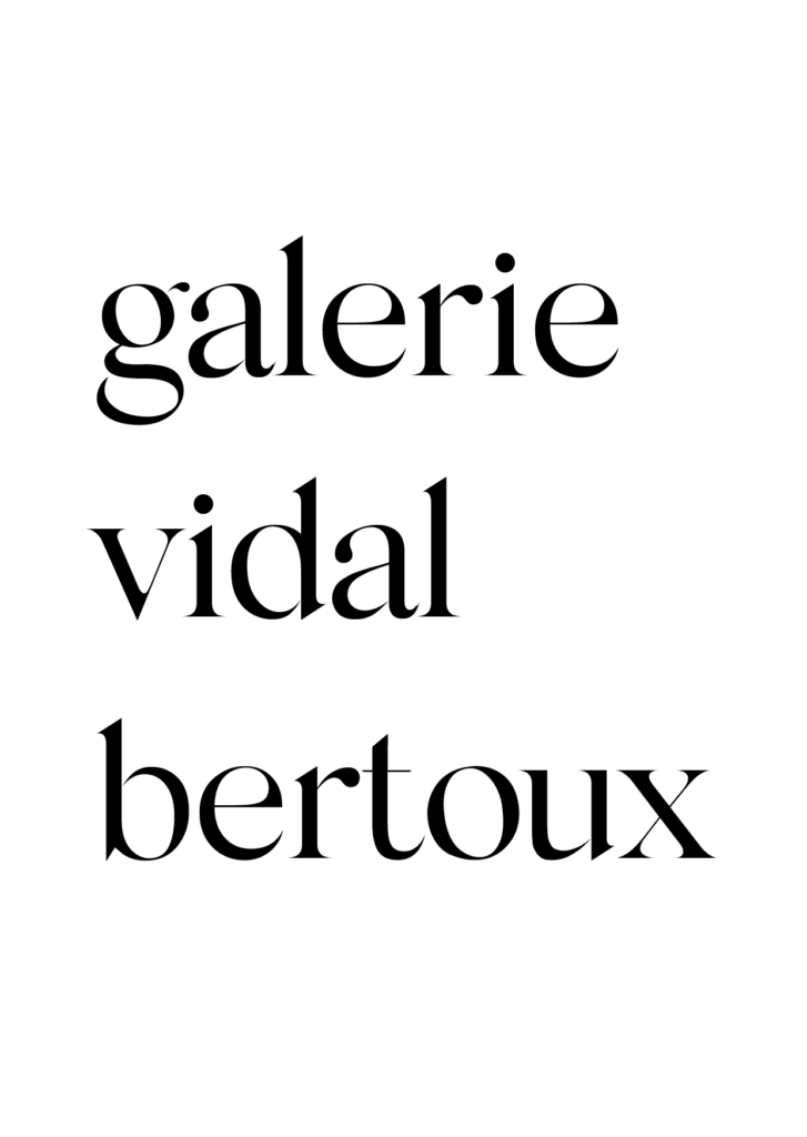 galerie Vidal bertoux creation du site internet Galerie d'art contemportain ancienne galerie rue du trésor